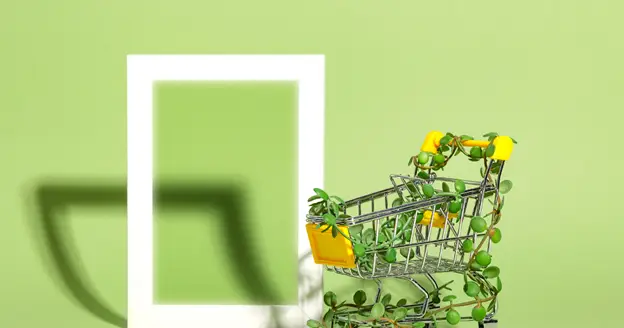 sustainable fashion trends