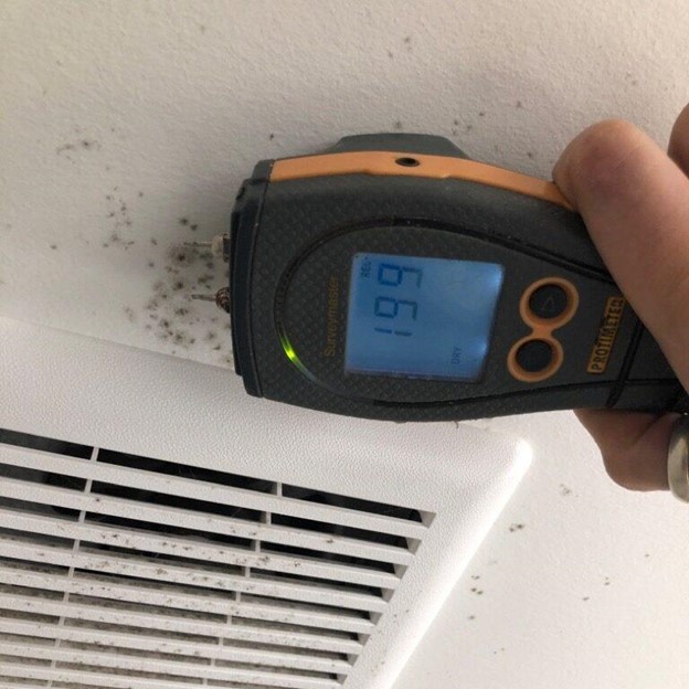 Can a Mold Inspector Condemn Your House Legally?