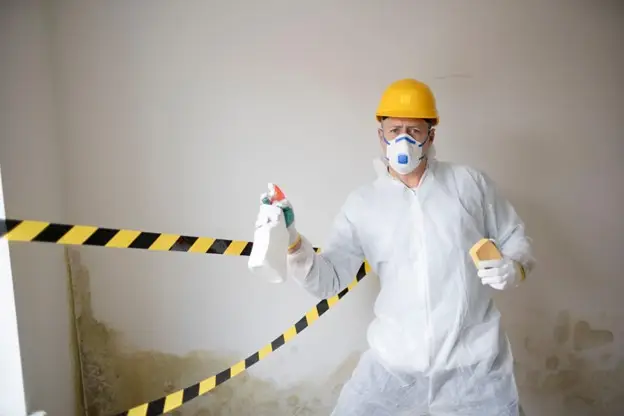 Can a mold inspector condemn your house