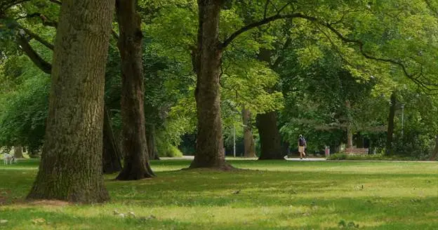 how much does it cost to start a tree service