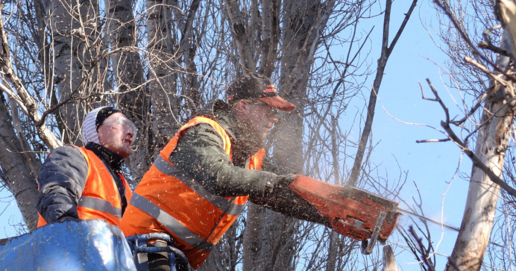 Are Tree Service Companies Profitable?