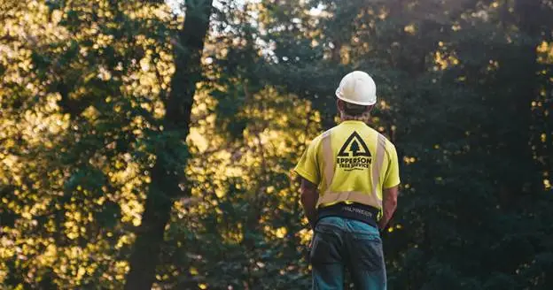 are tree service companies profitable
