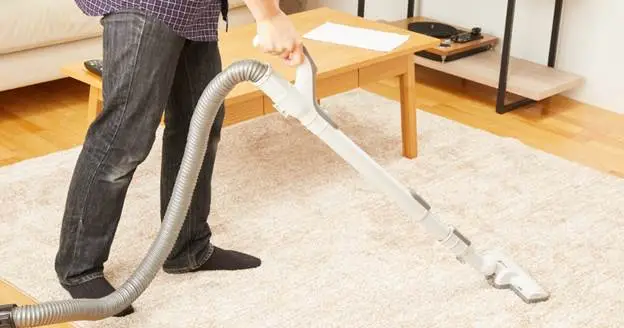 will carpet cleaners move furniture